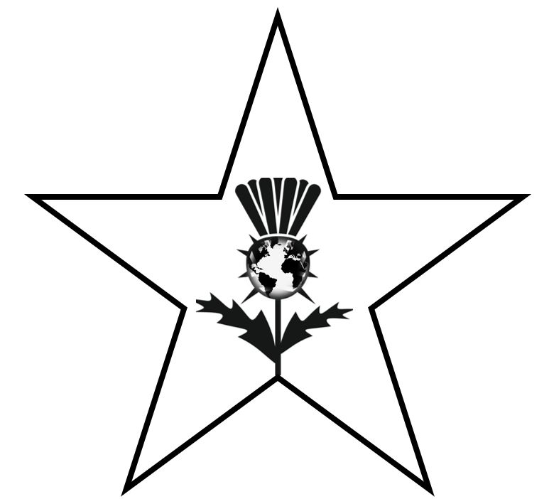 Star Thistle Service Ltd Logo